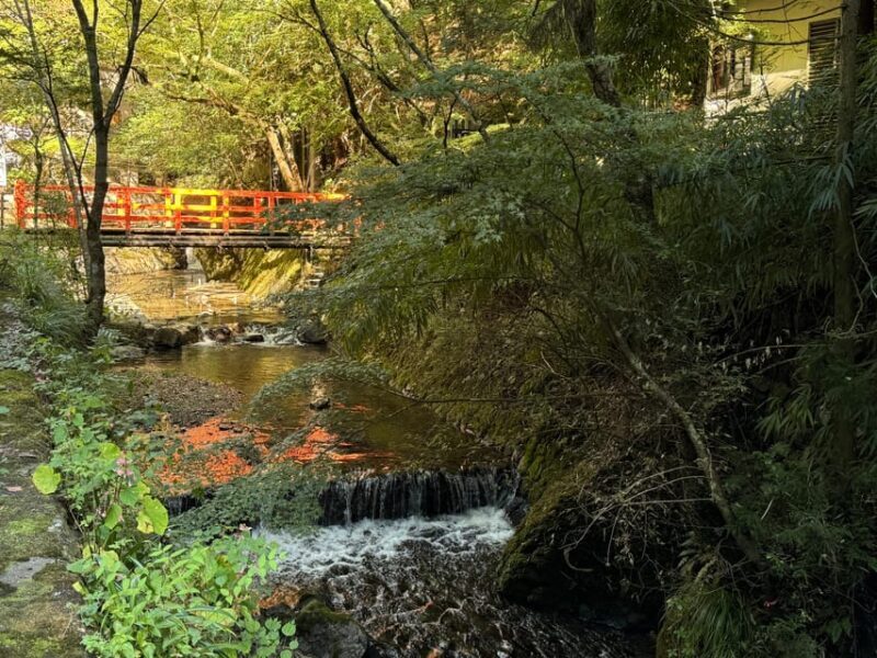 Kyoto: Kifune Shrine and the Sacred Kifune Valley Day Trip - The Return and Reflection