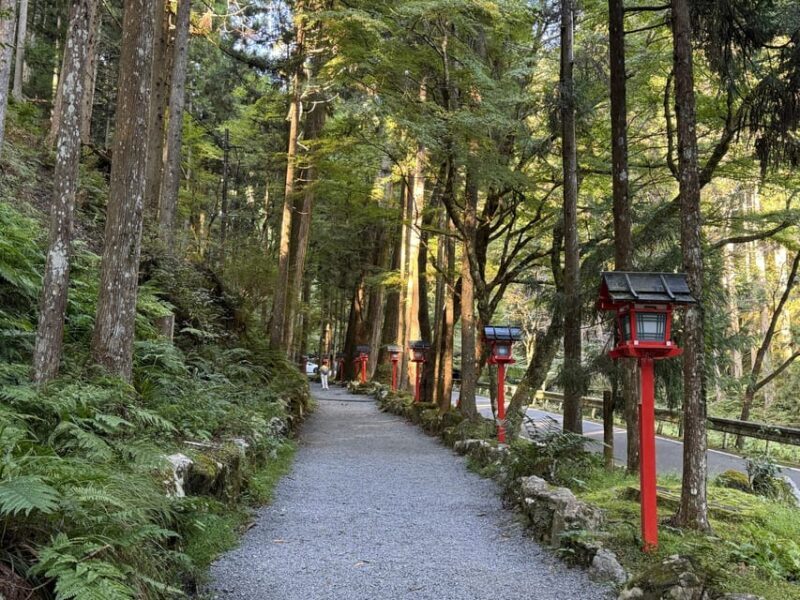 Kyoto: Kifune Shrine and the Sacred Kifune Valley Day Trip - Practical Tips for Your Day Trip