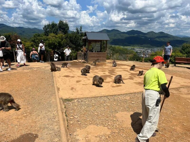 Kyoto: Kinakuji The Golden Pavilion, Ryan-Ji and Wildlife - What Makes This Tour Special?