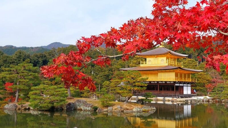 kyoto-kinkaku-ji-autumn-leaves-guided-tour-90-minutes