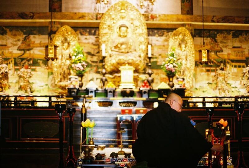kyoto-kinkakuji-and-ninnaji-temple-with-monk-insights
