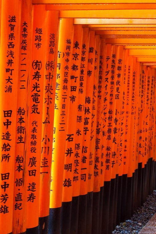 kyoto-kiyomizu-deranara-park-and-temples-unesco-1-day-tour