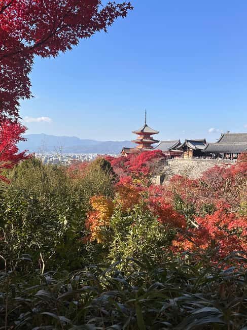 Kyoto: Kiyomizudera, Sanjusangendo, Kodaiji, and Gion. - Who Would Love This Tour?
