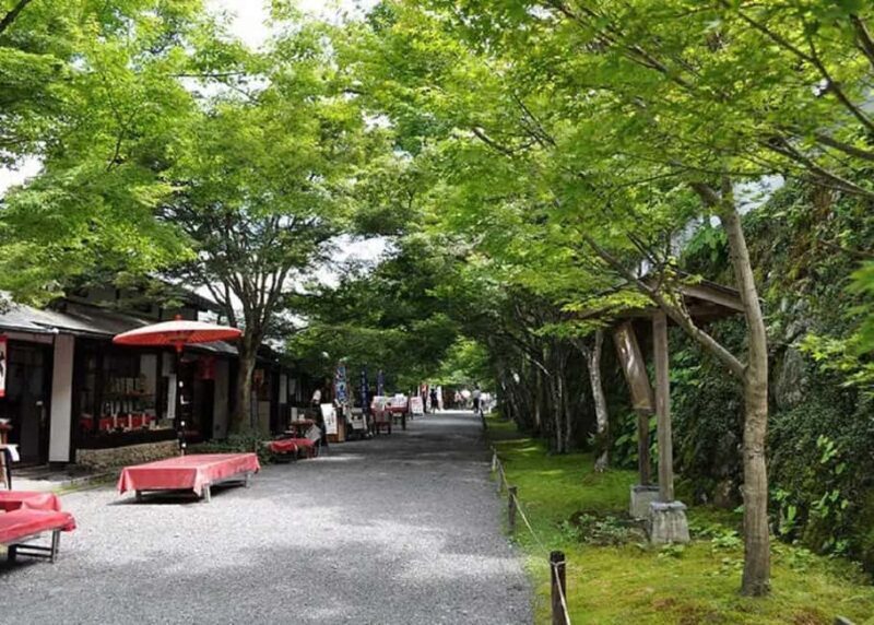 Kyoto: Kurama, Kibune, and Ohara Private Tour for Couples - Who Will Love This Tour?