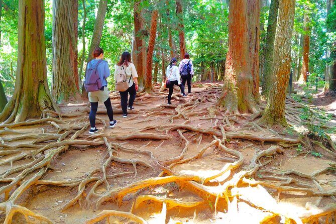 Kyoto: Kurama Temple and Mountain Legends Guided Hike - Who Is This Tour Best For?