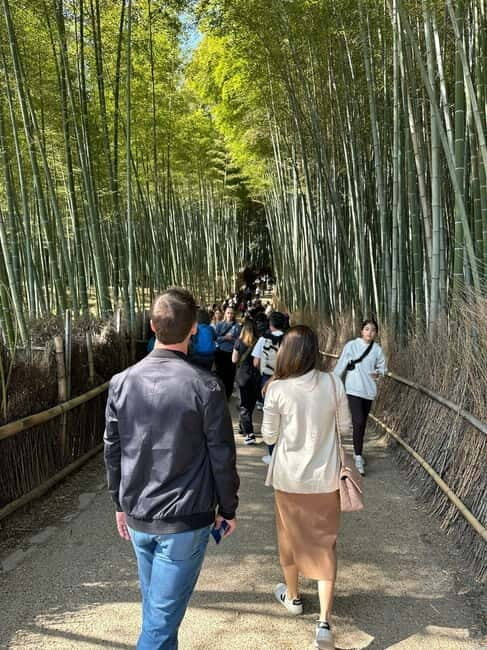 Kyoto: Kyoto Flexible Private Tour By Fluent English Driver - Key Points