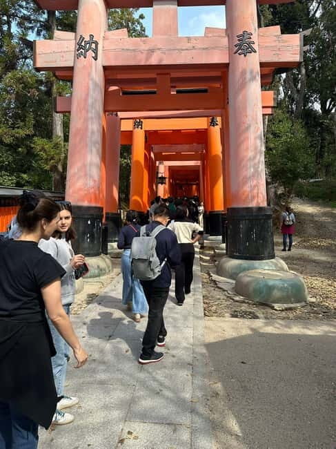 Kyoto: Kyoto Flexible Private Tour By Fluent English Driver - In-Depth Look at the Itinerary and Highlights
