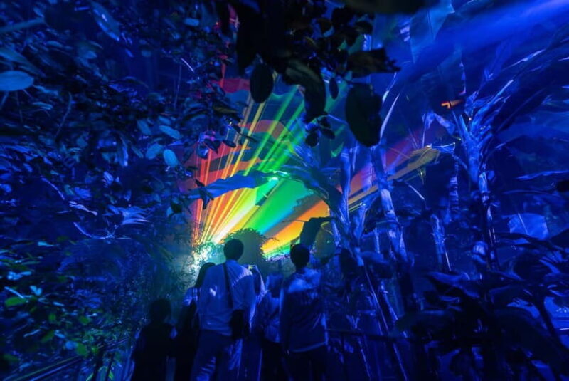 Kyoto: Light Cycles by Moment Factory with Yukata Rental - An Evening of Light, Sound, and Nature