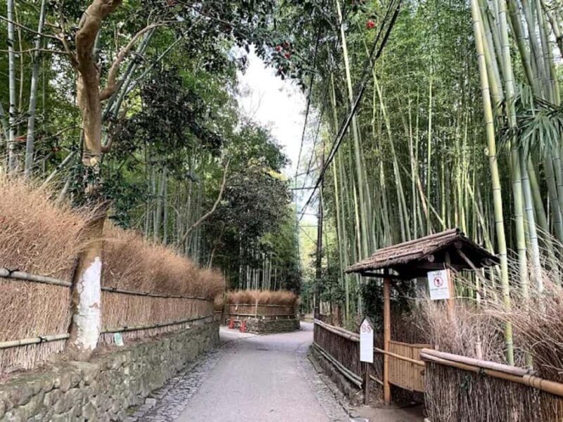 Kyoto Love :Romantic Tour of Arashiyama & Togetsukyo Bridge - Key Points