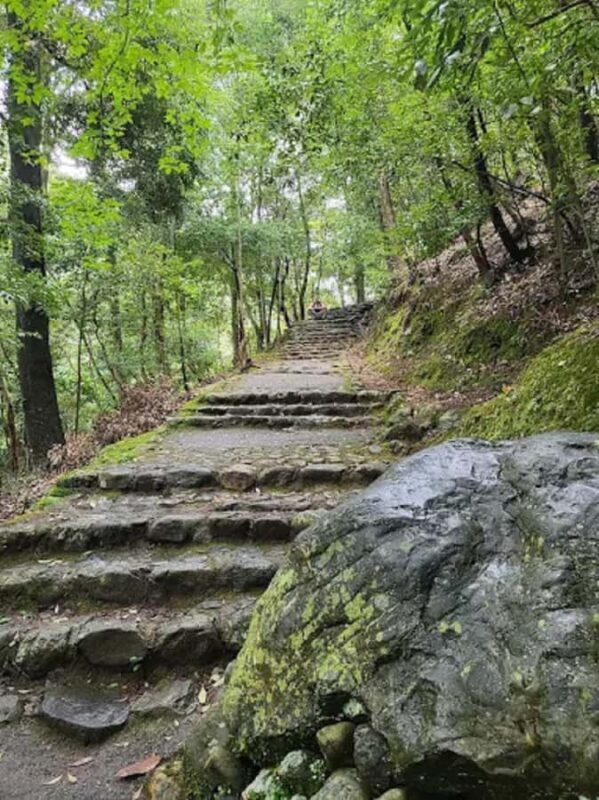 Kyoto Love :Romantic Tour of Arashiyama & Togetsukyo Bridge - Exploring the Itinerary in Detail