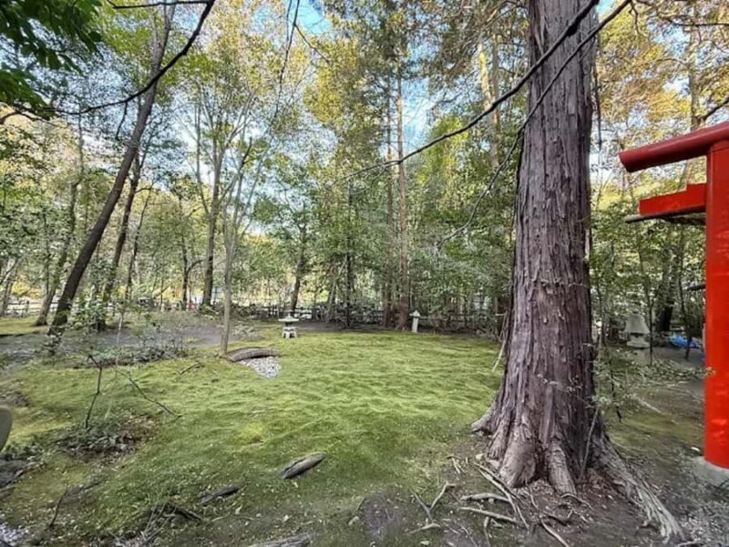 Kyoto Love :Romantic Tour of Arashiyama & Togetsukyo Bridge - Authentic Experiences and Hidden Gems