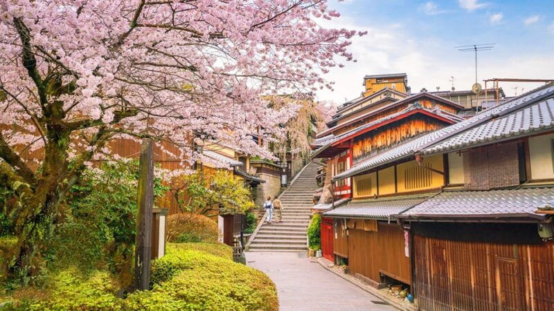 kyoto-matcha-experience-and-ancient-temple-1-day-tour