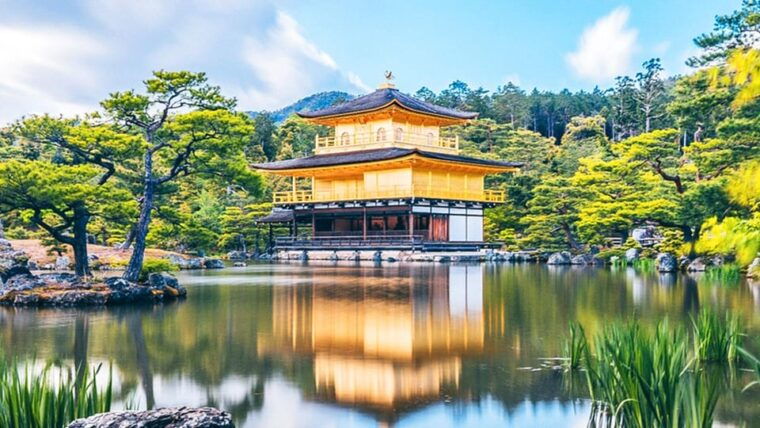 kyoto-matcha-experience-and-ancient-temple-1-day-tour