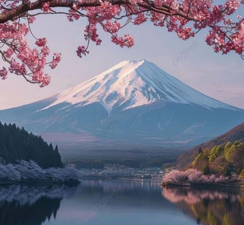 Kyoto: Mount Fuji Private Tour with English Speaking Driver - Key Points