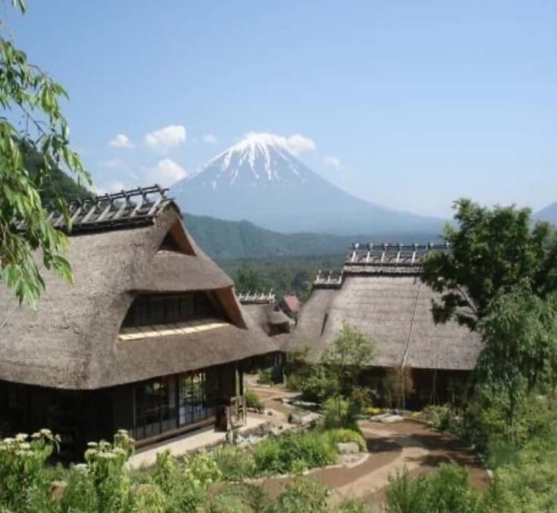 Kyoto: Mount Fuji Private Tour with English Speaking Driver - Why This Tour Stands Out