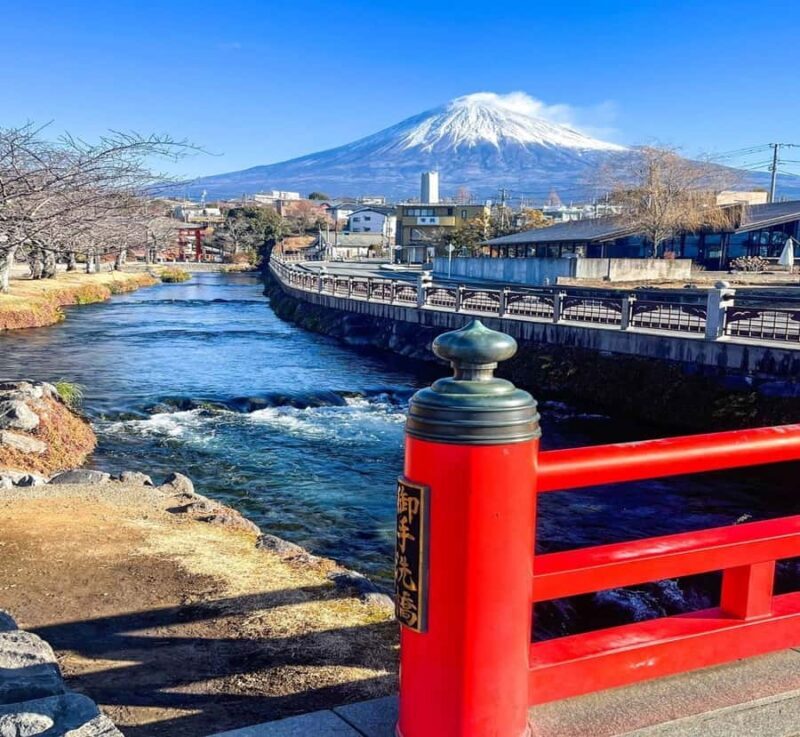 Kyoto: Mount Fuji Private Tour with English Speaking Driver - The Value Perspective