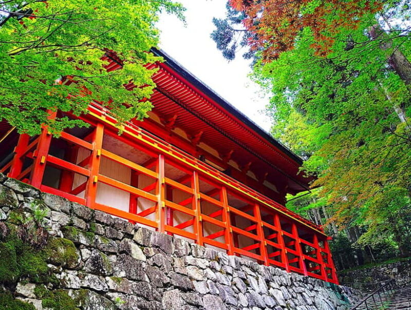 Kyoto: Mount Hiei Guided Tour  Mother of Japanese Buddhism - Unpacking the Experience: What to Expect from the Mount Hiei Guided Tour
