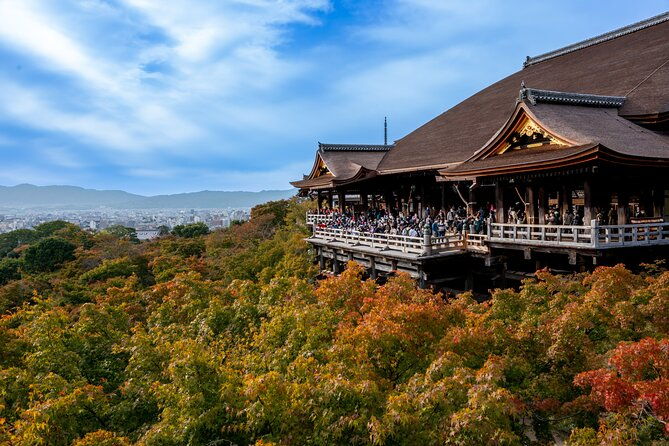 kyoto-must-visit-highlights-private-car-tour