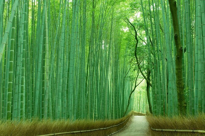 kyoto-must-visit-highlights-private-car-tour