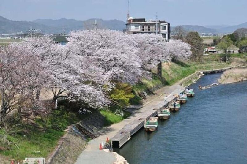 Kyoto: Nanzen-ji, Fushimi Sake & Hozugawa River Day Trip - Practical Details and Overall Value