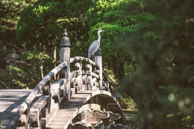 kyoto-nara-day-trip-golden-pavilion-todaiji-from-kyoto-osaka