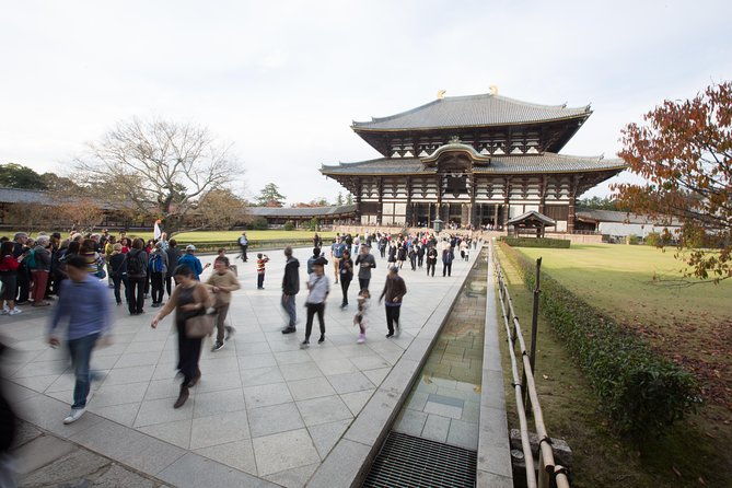 kyoto-nara-day-trip-golden-pavilion-todaiji-from-kyoto-osaka
