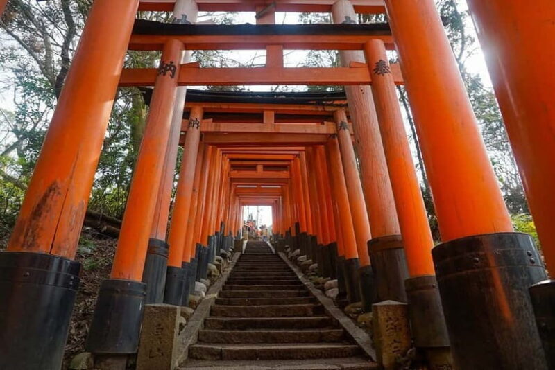 Kyoto & Nara: Day Trip Highlights Tour with a Private Car - Key Points