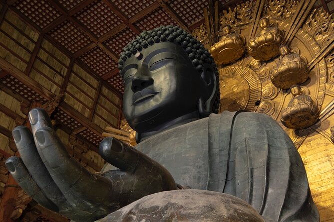 kyoto-nara-private-tour-from-osaka-kyoto-hotel-pick-up