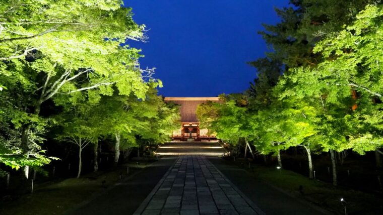 kyoto-ninnaji-temple-entry-ticket