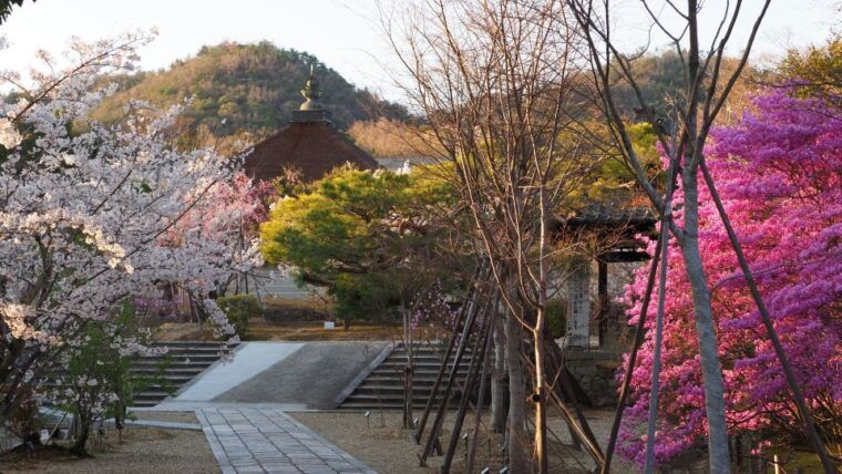kyoto-ninnaji-temple-entry-ticket