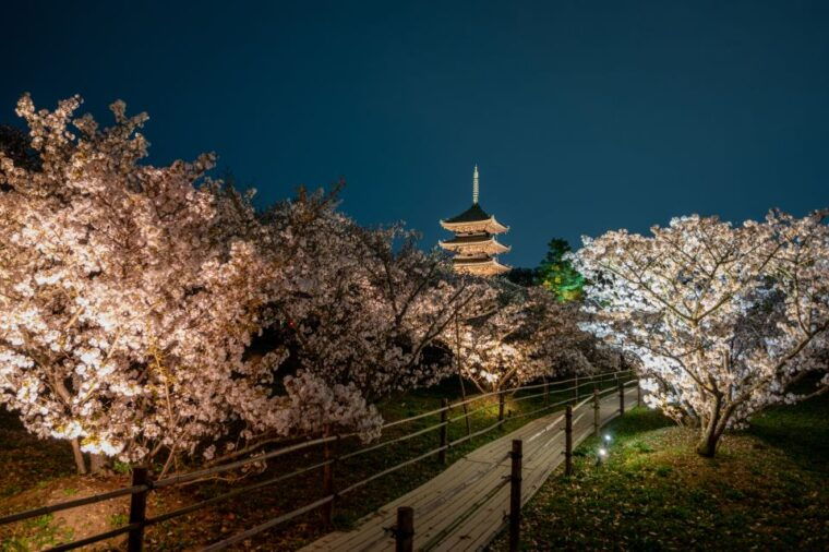 kyoto-ninnaji-temple-entry-ticket