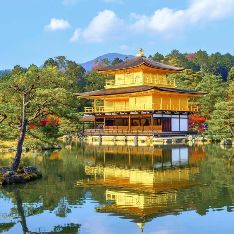 Kyoto North: Kitano Tenmangu, Kinkaku-ji & Tea Shops - Why This Tour Is a Great Fit