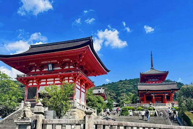 kyoto-one-day-private-car-tour
