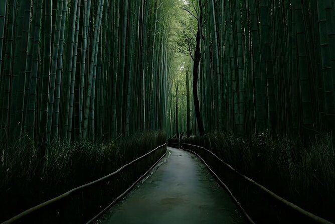 kyoto-one-day-private-car-tour