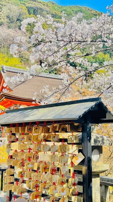 Kyoto-Osaka Customized Kyoto tour with pickup and guide - Pricing and Value