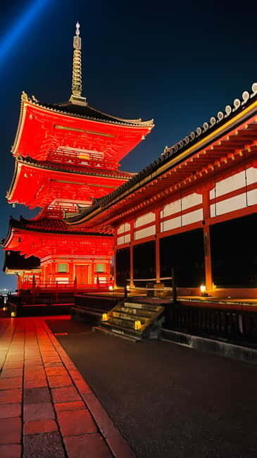 Kyoto-Osaka Customized Kyoto tour with pickup and guide - Who Will Love This Tour?