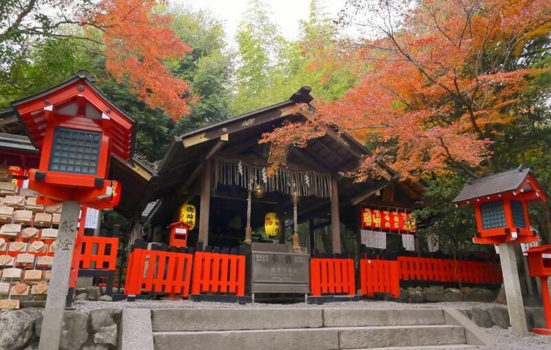 kyoto-osaka-fushimi-inari-arashiyama-and-nara-bus-tour