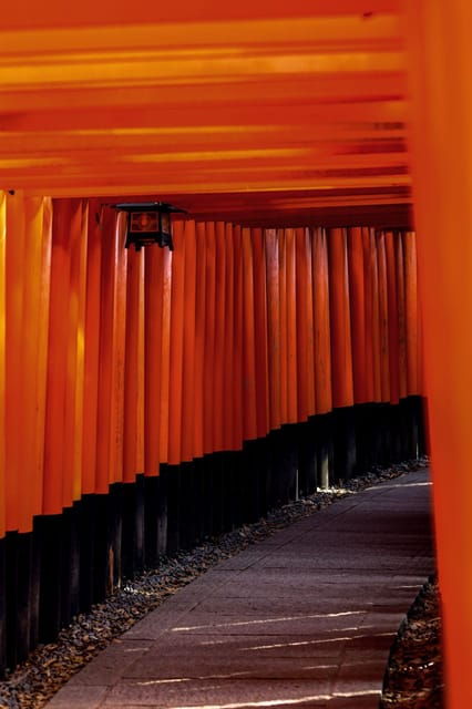 kyoto-osaka-kiyomizu-dera-templenara-park-day-trip