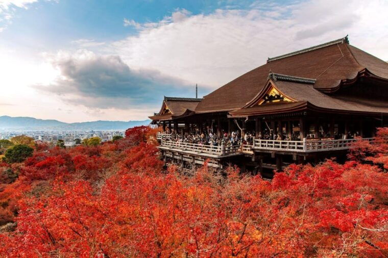 kyoto-osaka-kiyomizu-dera-templenara-park-day-trip