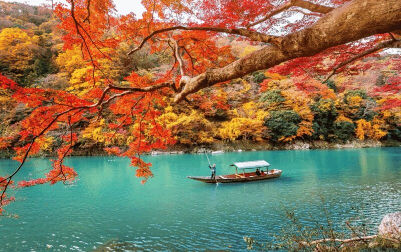 Kyoto/Osaka: Kyoto and Nara Customizable Guided Day Trip - What’s Included and What’s Not