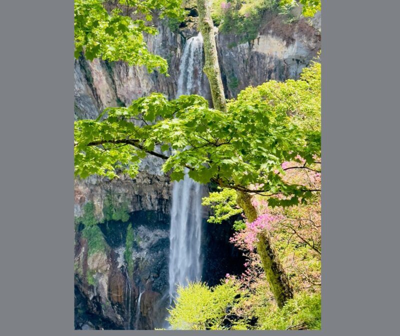 Kyoto/Osaka: Kyoto and Nara Customizable Guided Day Trip - FAQs