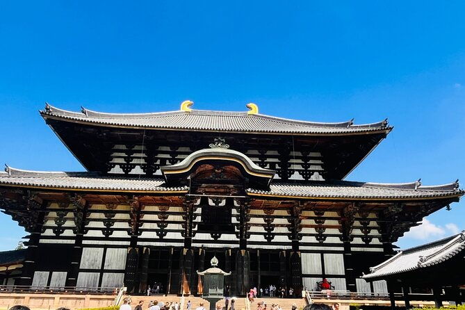 kyoto-osaka-kyoto-and-nara-customized-private-guided-tour-2