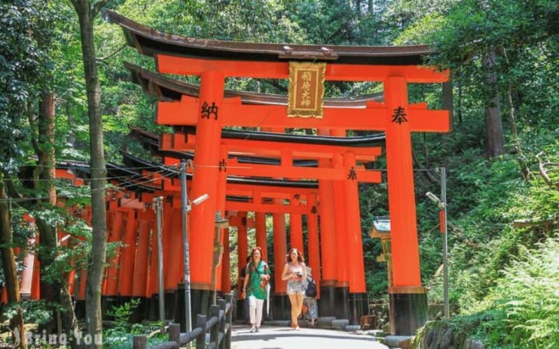Kyoto/Osaka: Kyoto and Nara Customized Private Guided Tour - Who This Tour Is Perfect For