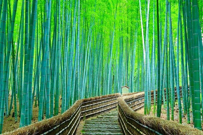 kyoto-osaka-kyoto-and-nara-customized-private-guided-tour