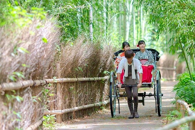 kyoto-osaka-kyoto-and-nara-customized-private-guided-tour