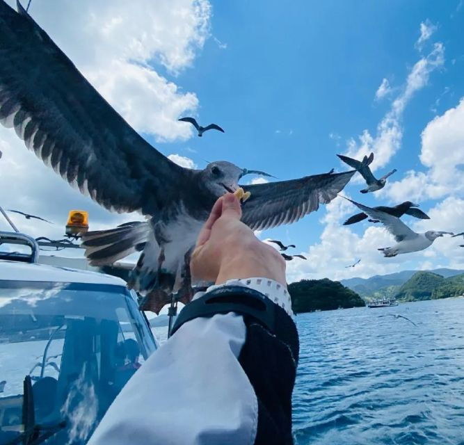 kyoto-osaka-kyoto-coast-amanohashidate-ine-bay-day-trip