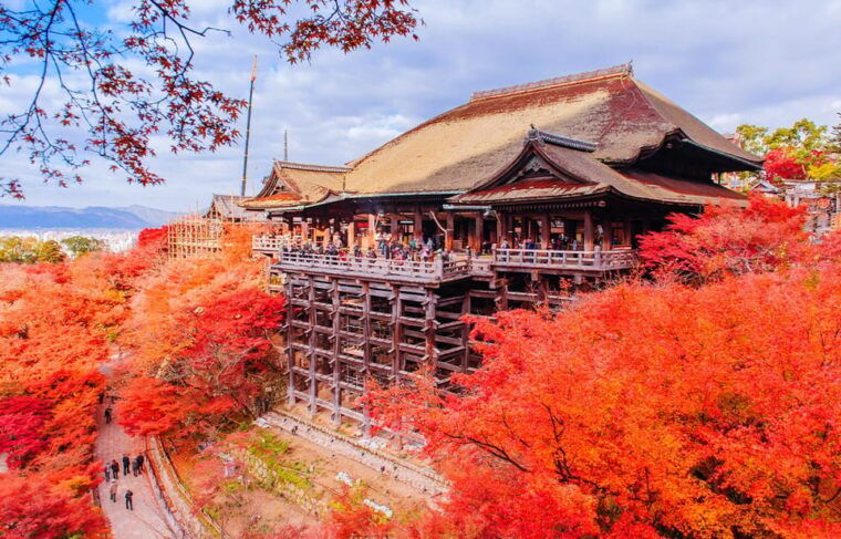 kyoto-osaka-kyoto-highlights-full-day-trip-fushimi-inari