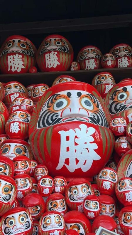 Kyoto/Osaka: Kyoto&Nara Private Customized Guided Tour - Experience Japan’s Heritage in a Day: Kyoto & Nara Private Guided Tour