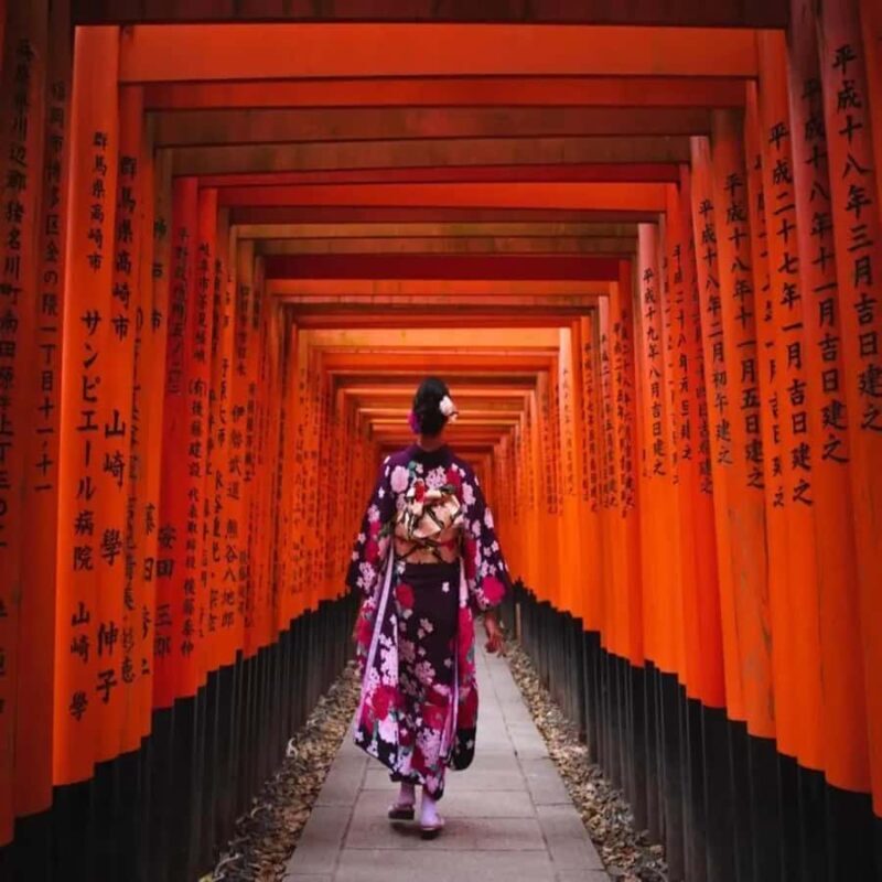 Kyoto/Osaka: Kyoto&Nara Private Guided English Speaking Tour - A Complete Look at the Kyoto & Nara Private Guided Tour