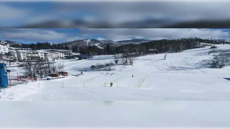 Kyoto/Osaka: Nagano Private Tour with English guide - The Value Proposition